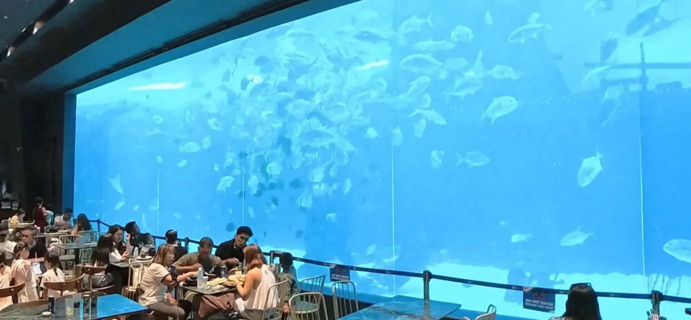 Giant main tank window at Cebu Ocean Park with schools of fish