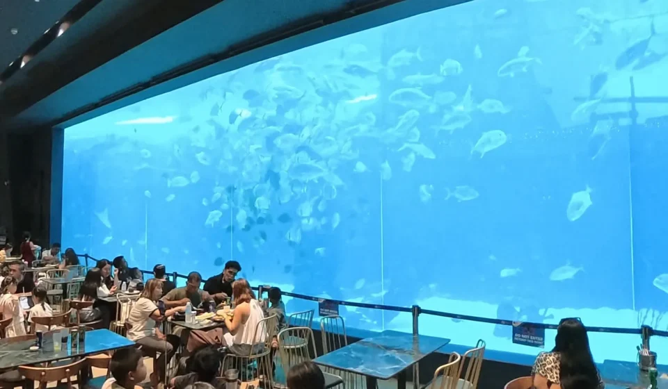 Giant main tank window at Cebu Ocean Park with schools of fish