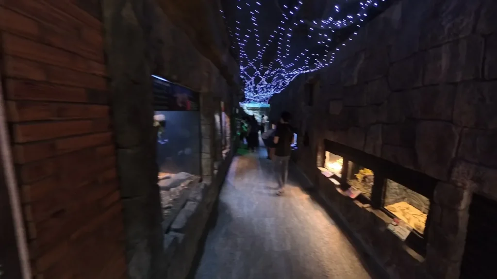 Dark reptile walkway with starry ceiling lights at Cebu Ocean Park