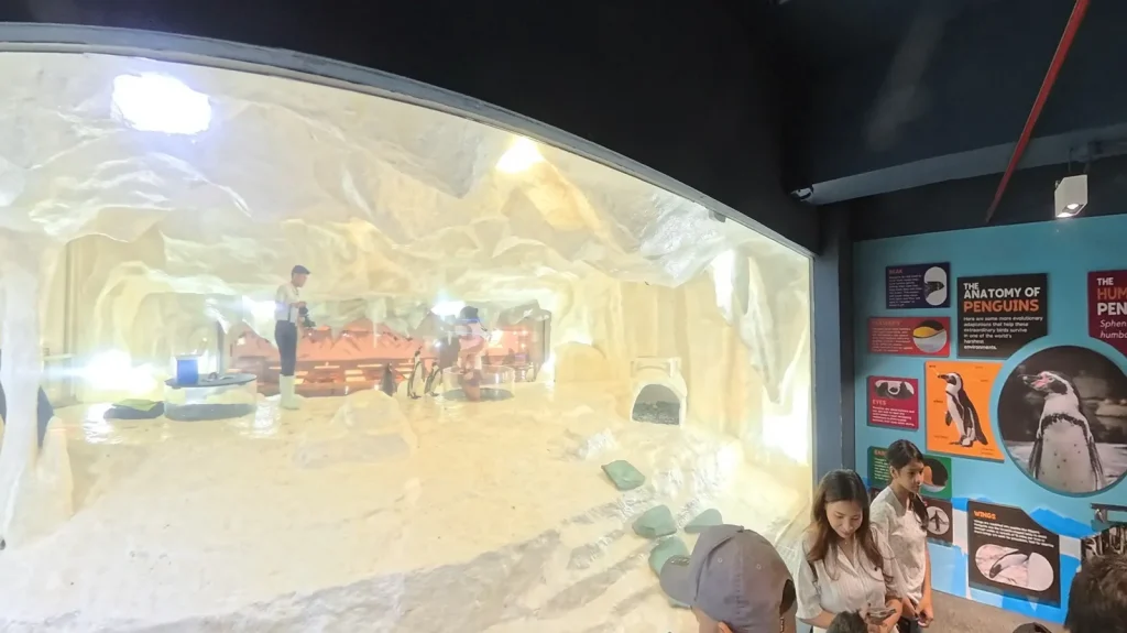 Penguin exhibit at Cebu Ocean Park